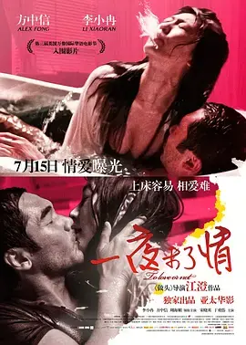 《一夜未了情》全集高清完整版在线观看与剧情解析