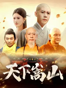《天下嵩山》全集高清完整版在线观看与剧情解析