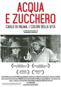 水与糖:摄影家卡洛·迪·帕尔马的生活与色彩