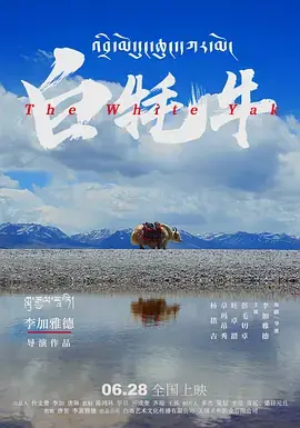 《白牦牛》全集高清完整版在线观看与剧情解析