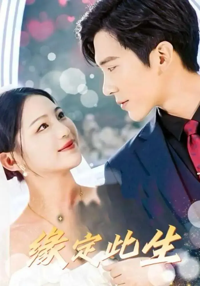 《缘定此生》全集高清完整版在线观看与剧情解析
