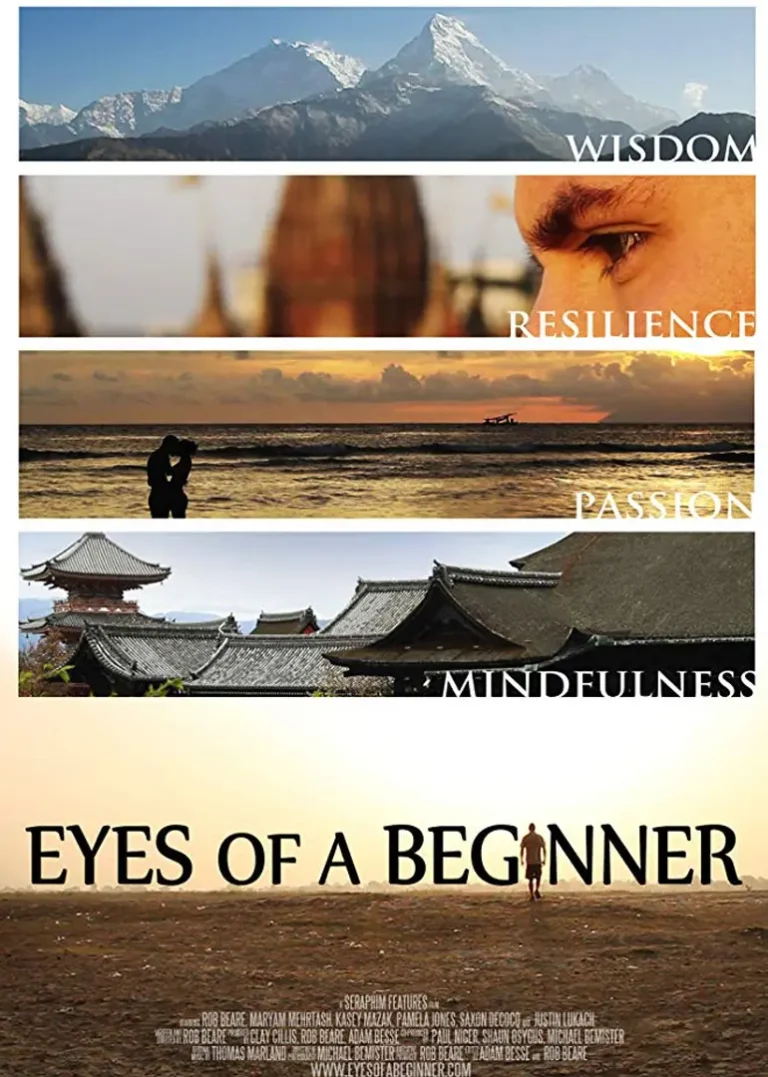 《重获光明之旅》全集高清完整版在线观看与剧情解析