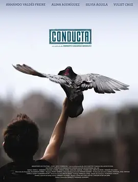 《飞不起来的童年》全集高清完整版在线观看与剧情解析