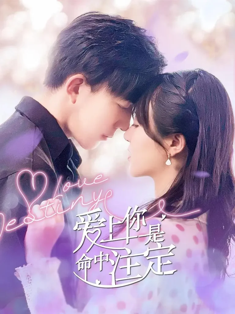 《爱上你是命中注定》全集高清完整版在线观看与剧情解析